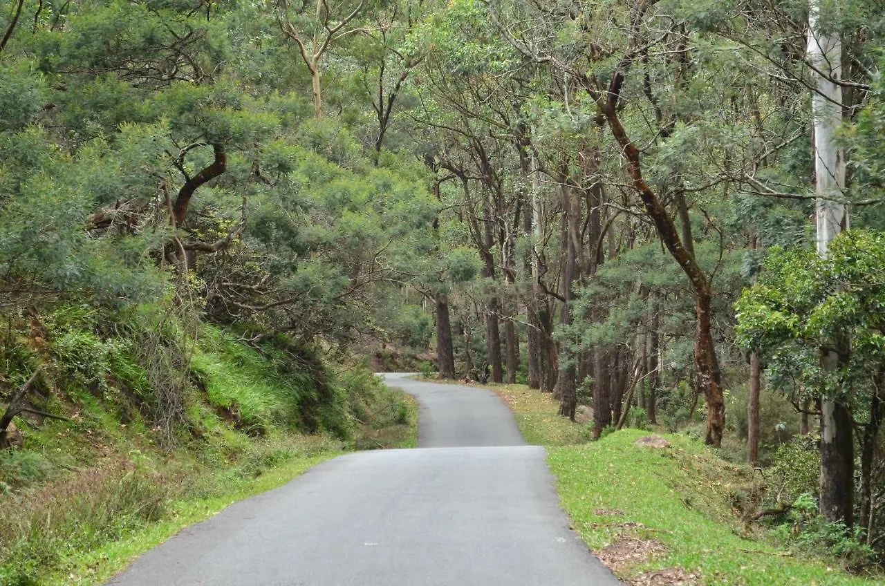 Yensfield Blackpool Nuwara Eliya