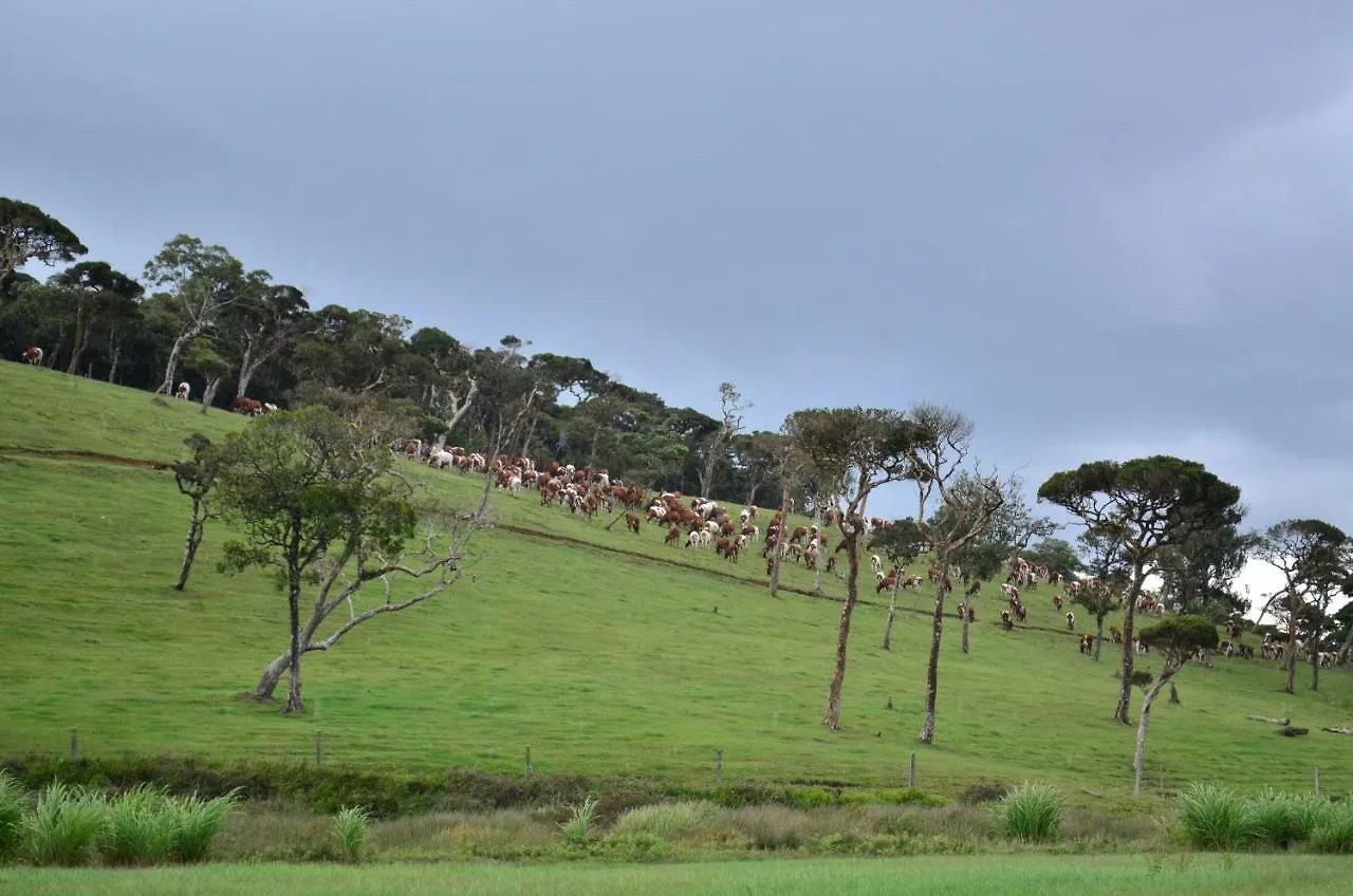 Yensfield Blackpool Hotel Nuwara Eliya Sri Lanka